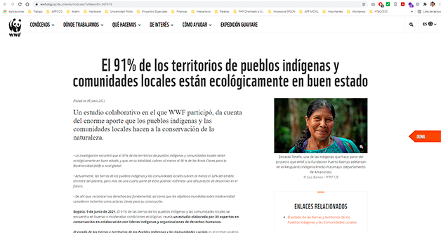 Captura de pantalla del sitio web de la noticia