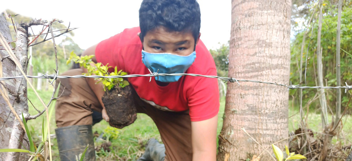 Fotografía de niño campesino sembrando árboles en los al rededores de su institución educativa.