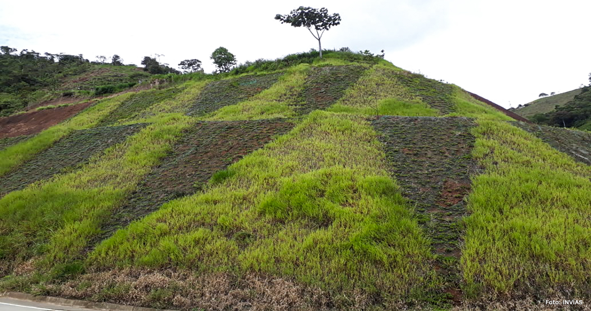 Fotografía de paraje junto al talud La Soledad.