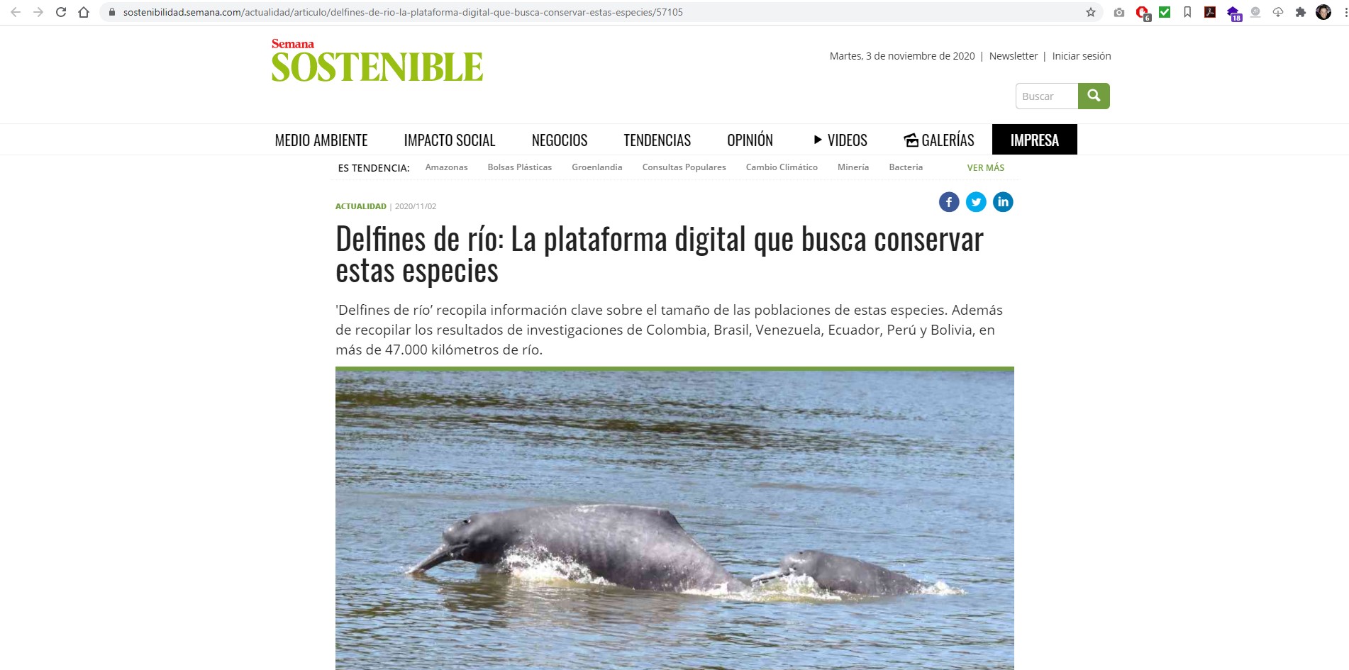 Captura de pantalla del sitio web de la noticia
