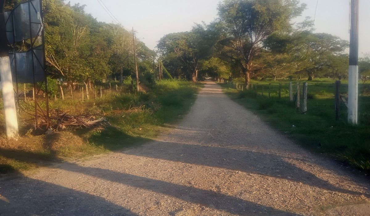 En Caldas, finalizaron los primeros convenios de Caminos Comunitarios de la Paz Total