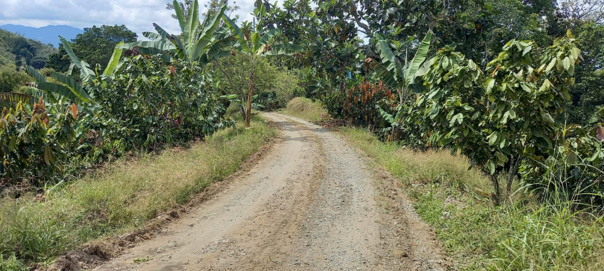 En Quindío, finalizaron los primeros convenios de Caminos Comunitarios de la Paz Total