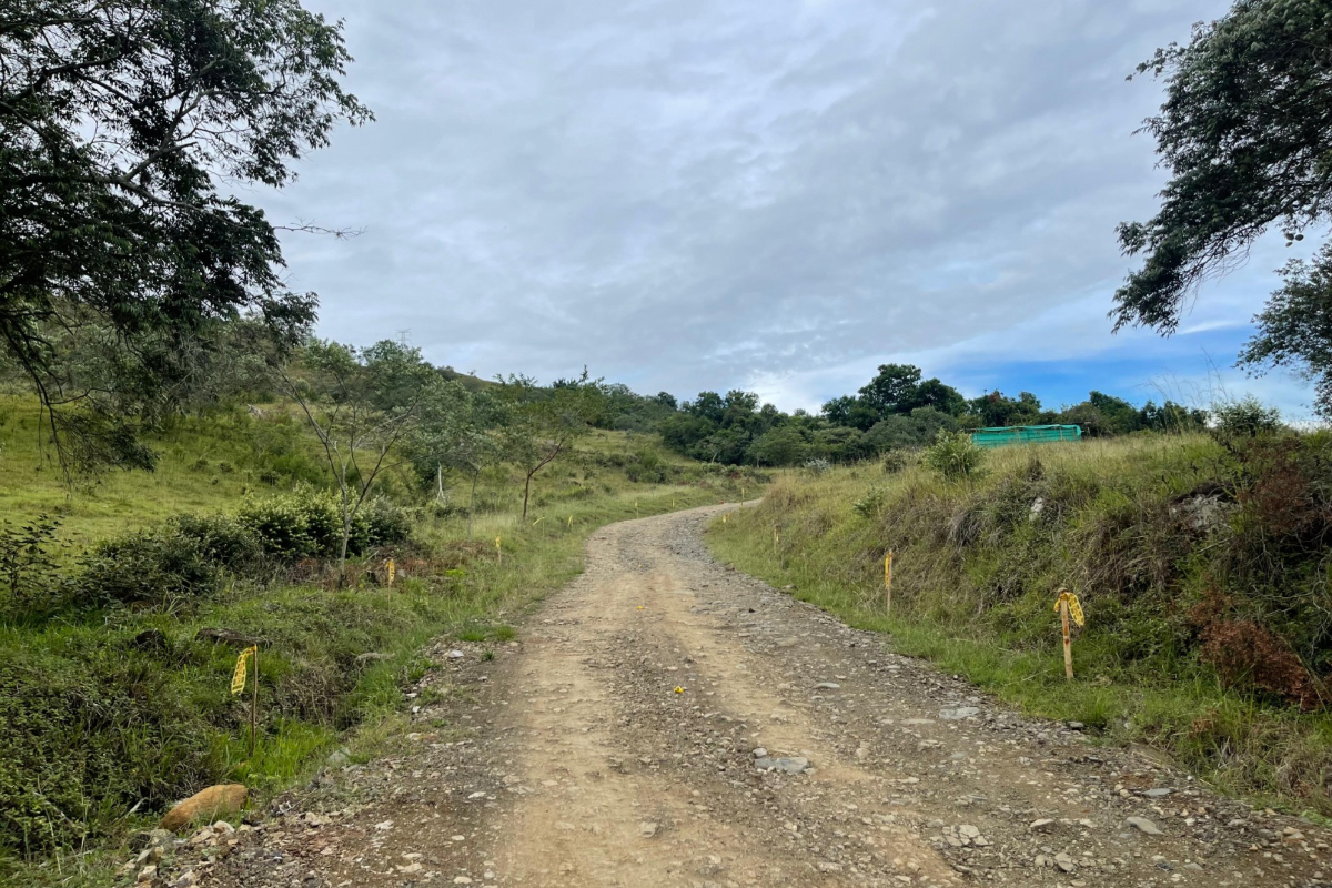 En Valle del Cauca, finalizaron los primeros convenios de Caminos Comunitarios de la Paz Total