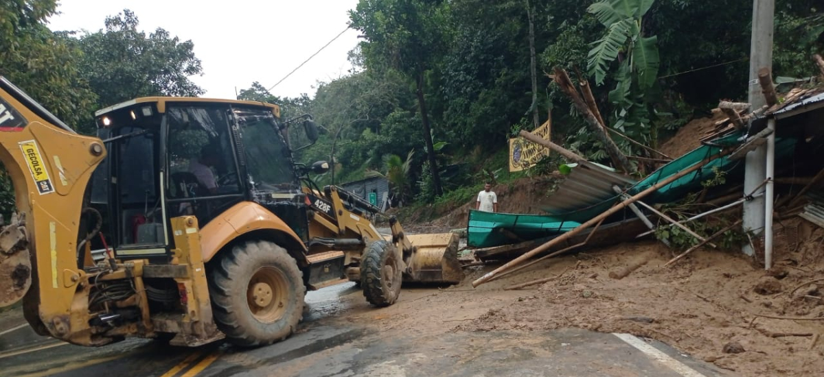 Invías atiende emergencia por caída de árboles y pérdida parcial de la banca en la vía Honda - Villeta