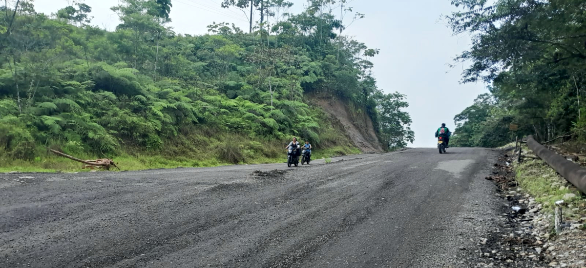 Fotografía de tránsito vehicular el el corredor San Miguel - Santana, Putumayo.