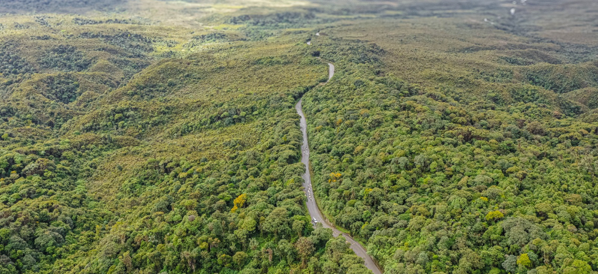 Invías obtuvo autorización para sustracción de reserva forestal en inmediaciones del Parque Natural de Puracé, Cauca