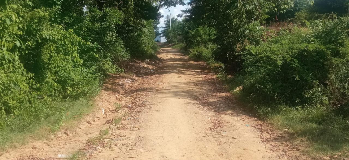 Comunidad palenquera lidera obras viales con apoyo del Gobierno Nacional