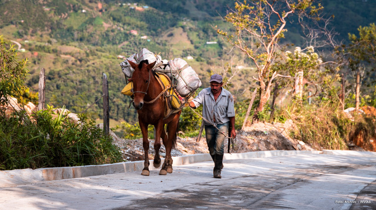 Fotografía de campesino caminando junto a su caballo por las vías terciarias del país.