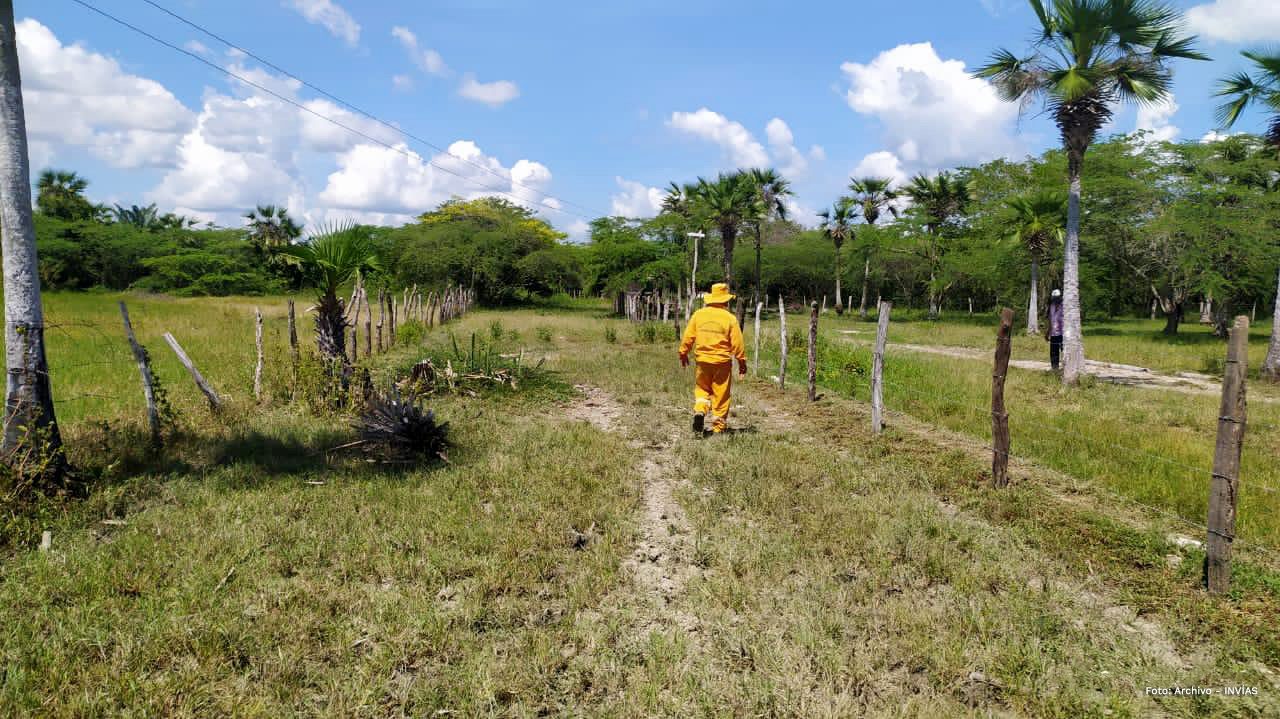 Fotografía de trabajadores del INVÍAS en la vía Salamina - El Piñón.