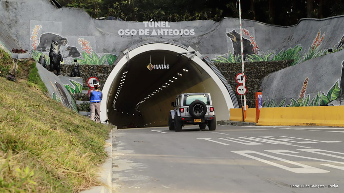 Fotografía entrada túnel Oso de Anteojos