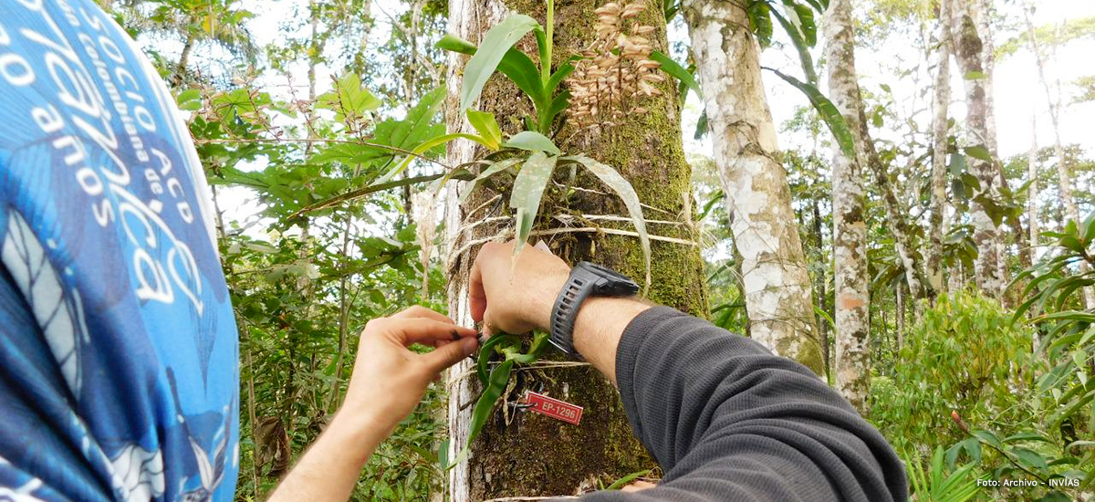 Fotografía de trabajador haciendo clasificación y marcación de especies.