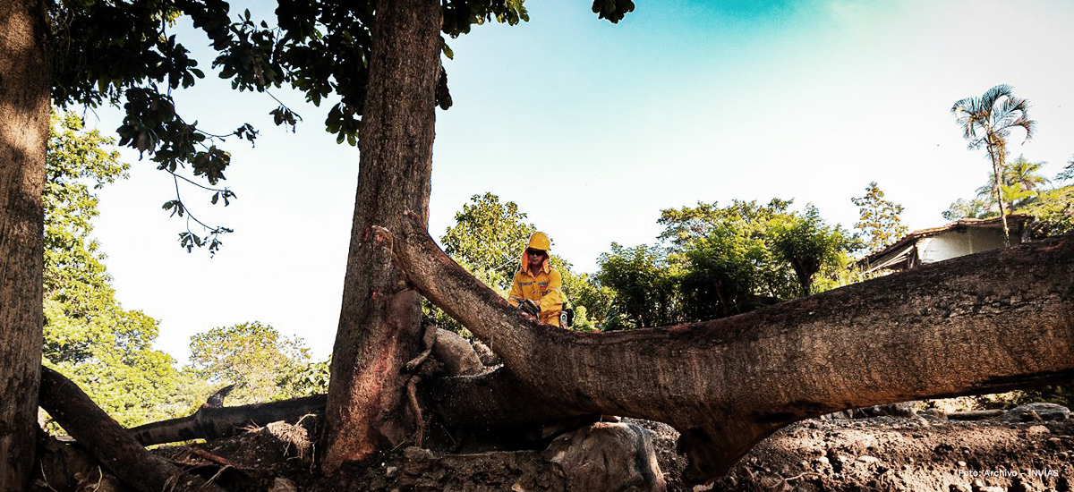 Fotografía trabajador del INVÍAS durante una labor de remoción de escombros.