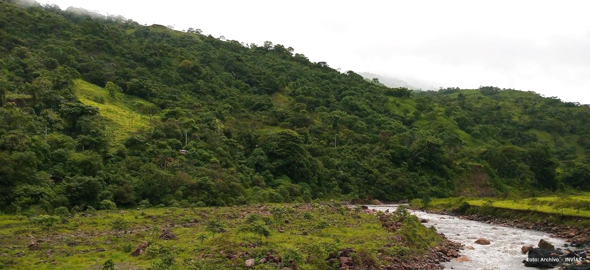 Fotografía de paisaje cerca a la vía.