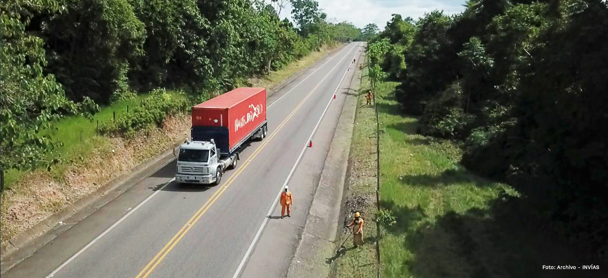 Fotografía de vía en la amazonía.