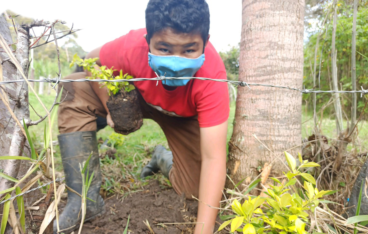 Fotografía de niño campesino sembrando árboles en los al rededores de su institución educativa.