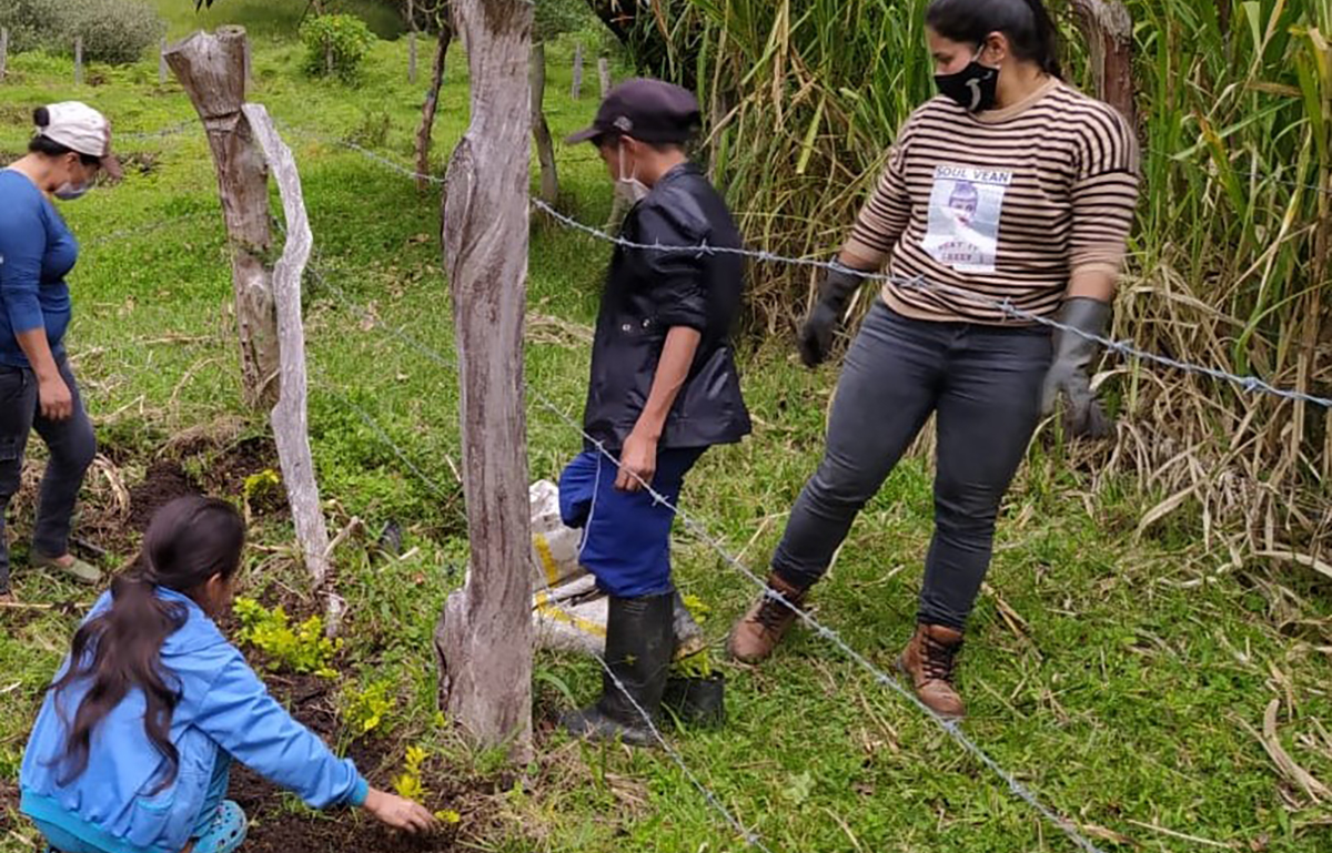 Fotografía de habitantes de la zona sembrando árboles en los al rededores de su institución educativa.