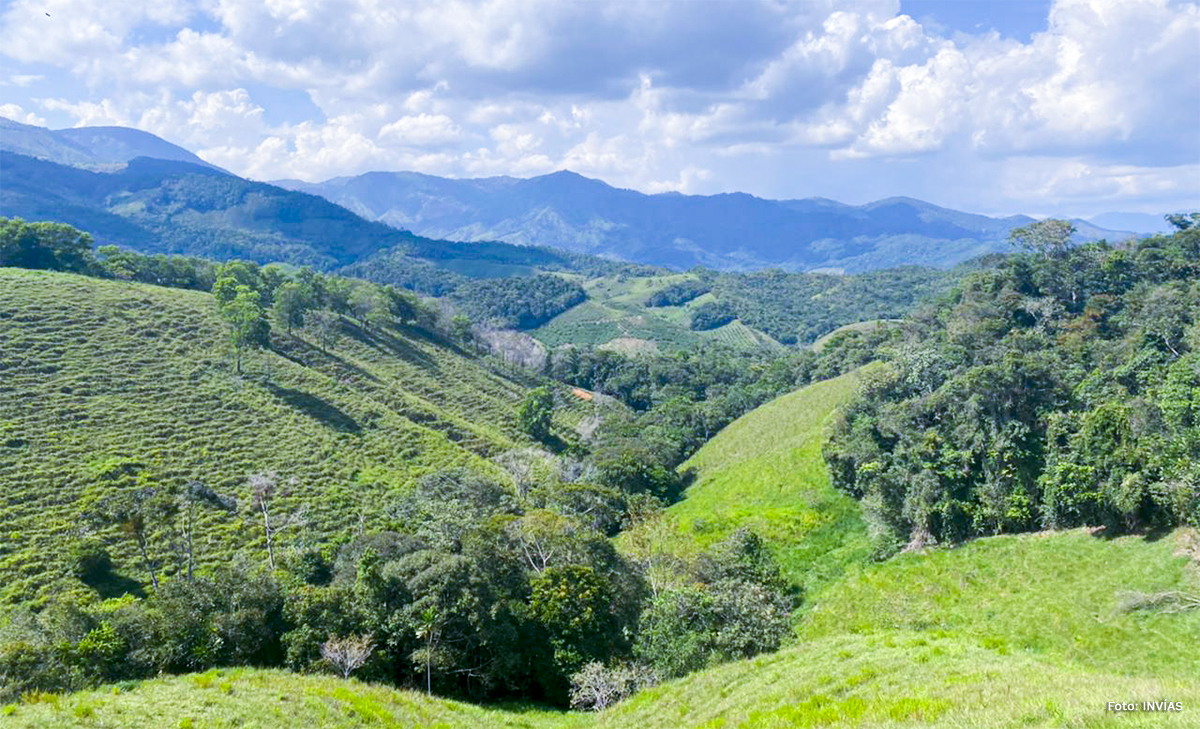 Fotografía panorámica de la región.