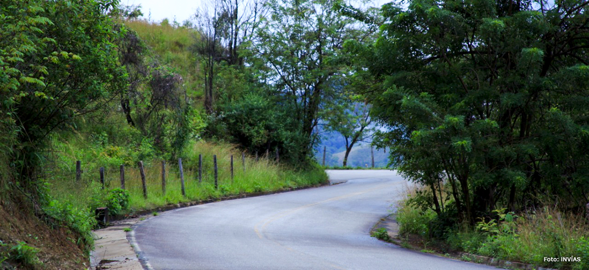 Fotografía de vía del Corredor del Sur del Tolima.