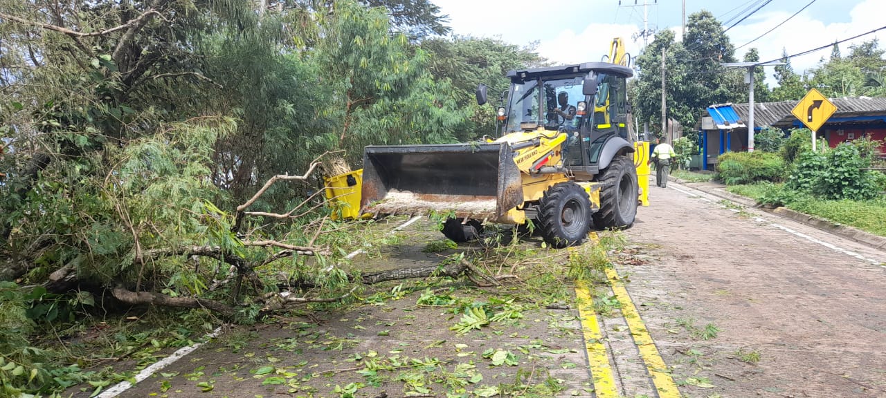 Fotografía de retiro del material que pudiera obstaculizar el paso por la infraestructura de la isla.
