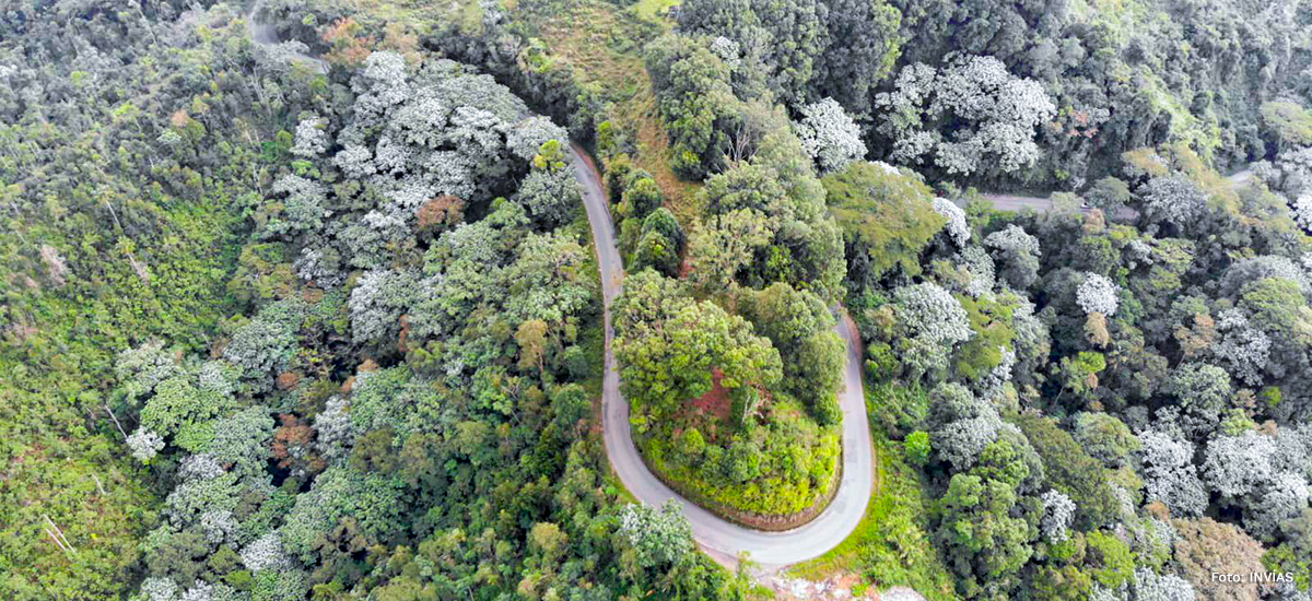 Fotografía aérea de la vía Arrayanal - Salento.