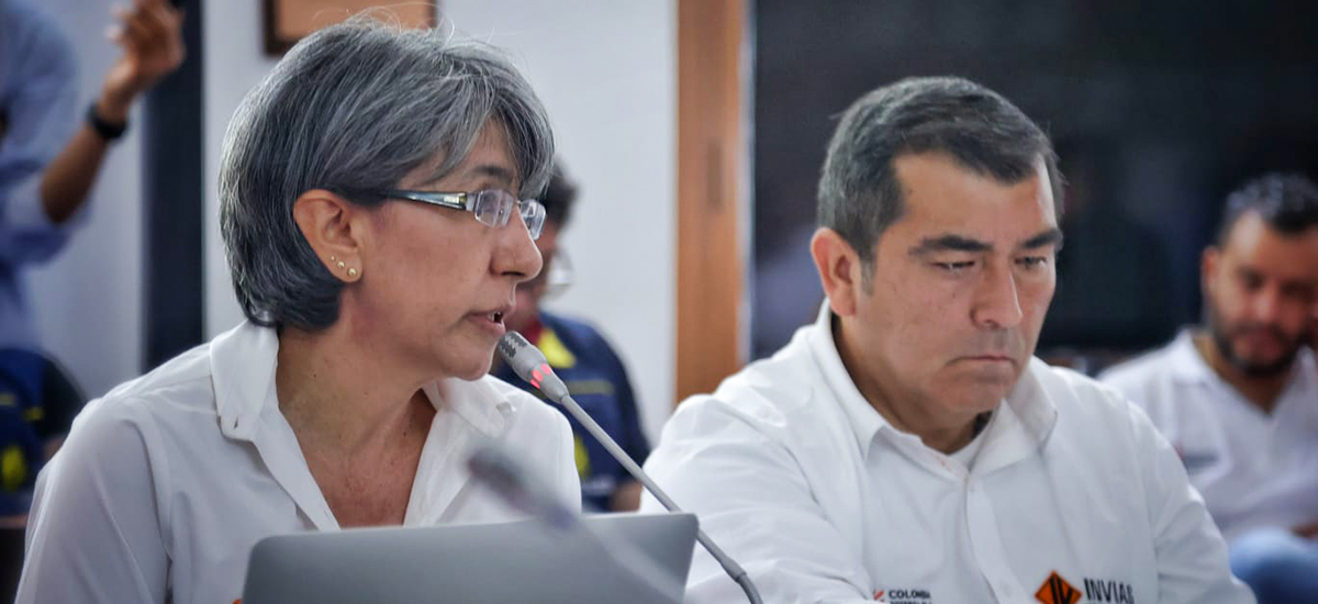 Fotografía de la Directora General del INVÍAS, Mercedes Elena Gómez Villamarín durante su intervención en la mesa de Gobierno creada para superar la emergencia en la vía Ocaña - Sardinata - Cúcuta.