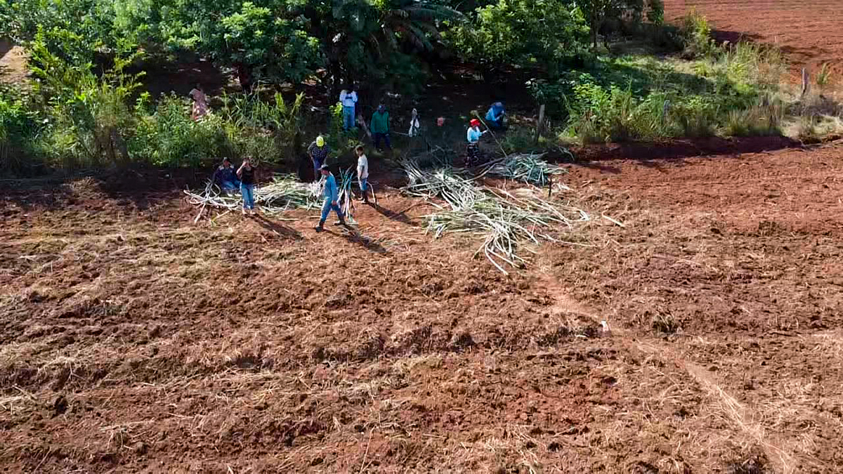 Fotografía de cultivos de la comunidad Wayoco aledaño a vía que conecta a Meta con Vichada.