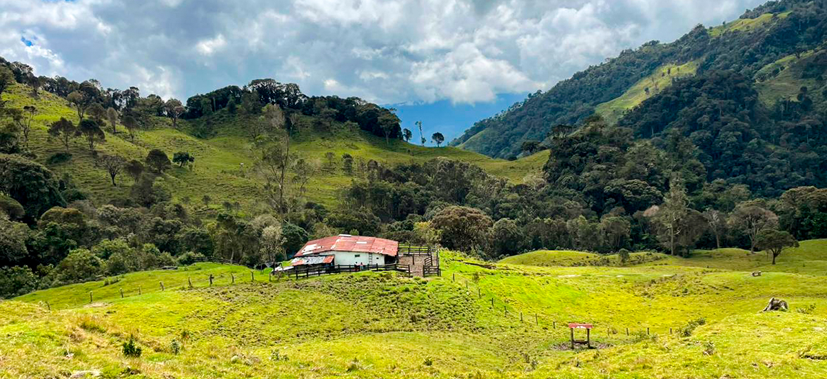 Fotografía de predio rural que fue entregado a Cortolima como compensación ambiental del proyecto Cruce de la Cordillera Central.