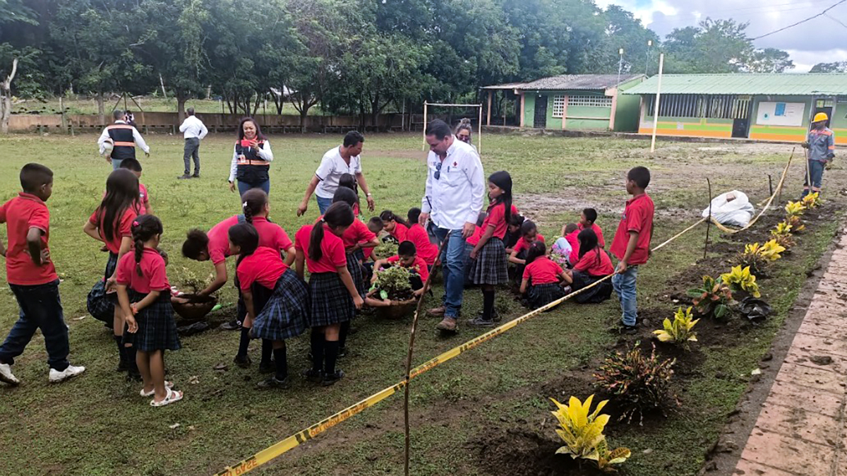 Fotografía del trabajo de siembra de árboles del programa Escuelas Verdes, realizado entre el INVÍAS y alumnos de la Institución Educativa Morrocoy, en el municipio de San Pelayo, Córdoba.