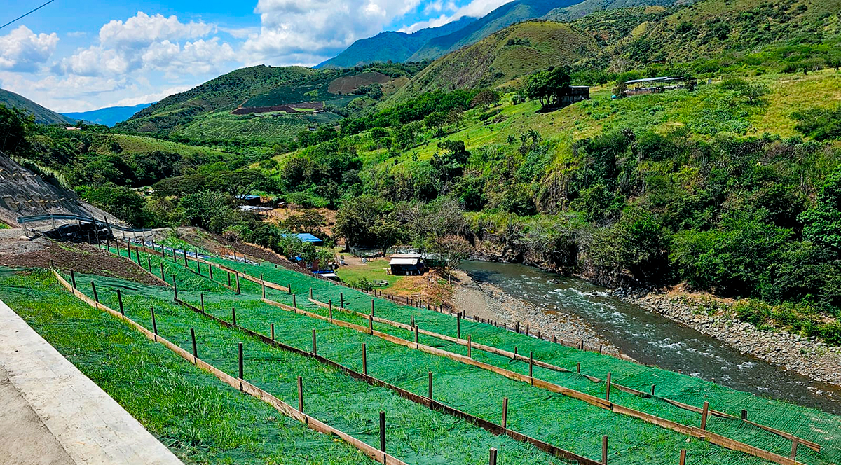 Fotografía de sembradíos aledaños a la vía Cali - Loboguerrero.