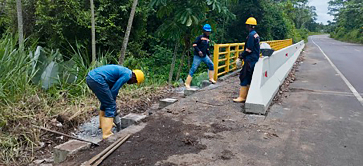 Fotografía de colaboradores del INVÍAS en labores de pavimentación de vía.