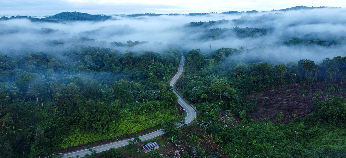 Fotografía aérea de vía en medio de montañas en el municipio de Quibdó, en Chocó.