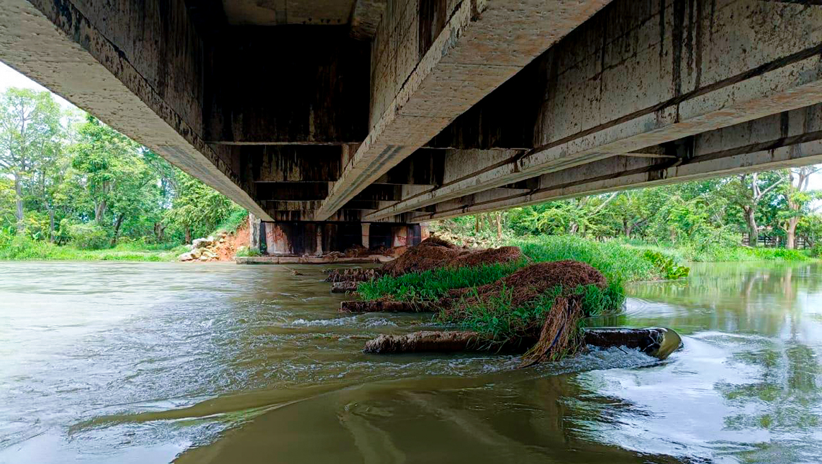 Fotografía de afectación de la naturaleza al puente Las Pozas, en la vía Guayepo - Majagual.